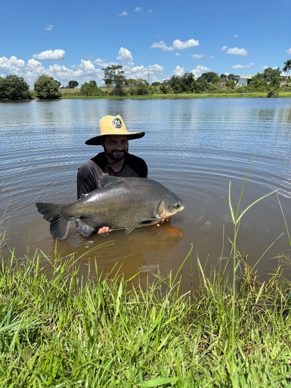 Pesca